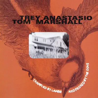 Trampled by Lambs and Pecked by the Dove - Trey Anastasio Trampled by Lambs and Pecked by the Dove - Trey Anastasio
