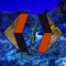 Escape - Rodg lyrics