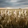Fields of Gold (Acoustic) - Single album lyrics, reviews, download