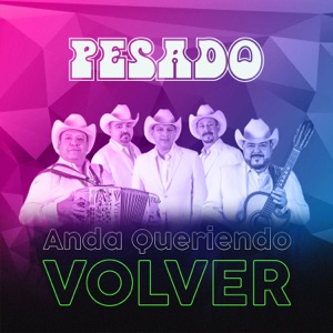 Anda Queriendo Volver - Single