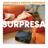Jesse Harris - Little Star
