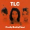 Case of the Fake People - TLC lyrics