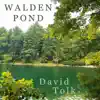 Walden Pond - Single album lyrics, reviews, download