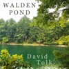 Walden Pond - Single