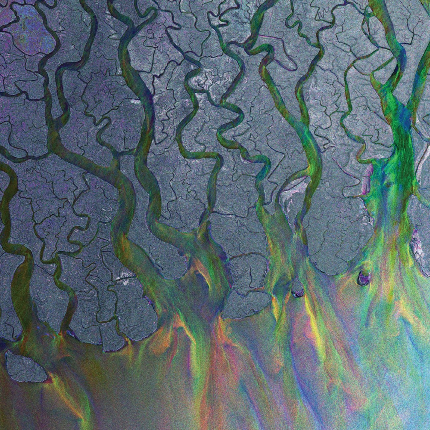 An Awesome Wave by Alt J