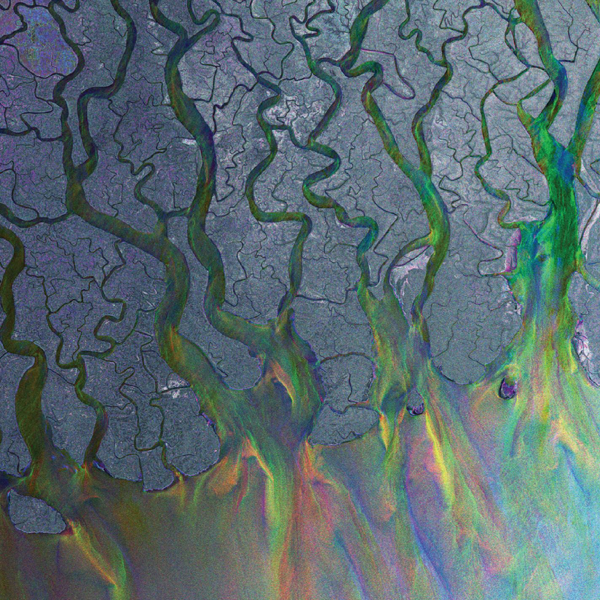 alt-j-taro