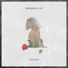 Wonderful Life - Single