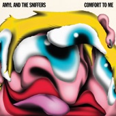 Amyl and the Sniffers - Freaks to the Front