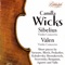 Violin Concerto in D Minor, Op. 47: II. Adagio di molto artwork