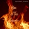 Walk Thru Fire - Phoenix T. Analog lyrics