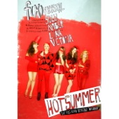 f(x) - Hot Summer