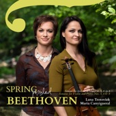 Spring - Beethoven: Sonatas for Violin and Piano NOS. 5, 6 & 8 artwork