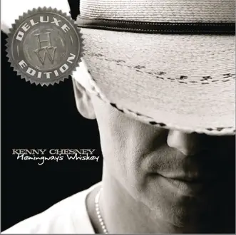 Reality by Kenny Chesney song reviws