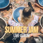 Summer Jam (Live Album) artwork