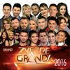 Zvezde Granda - 2016