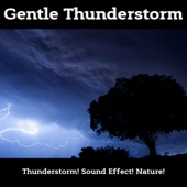 Gentle Thunderstorm artwork
