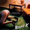 Macrocosm: Introducing... Brand X, 2003