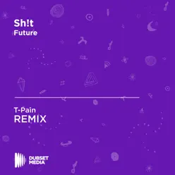 Sh!t (T-Pain Unofficial Remix) [Future] - Single - T-Pain