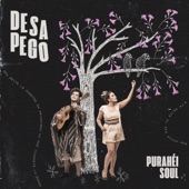 Desapego artwork