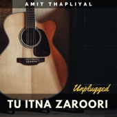 Tu Itna Zaroori (Unplugged) artwork