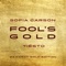 Fool's Gold (Tiësto 24 Karat Gold Edition) artwork