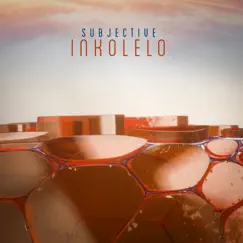Inkolelo - Single by Goldie, James Davidson & Subjective album reviews, ratings, credits