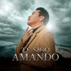 Te Sigo Amando - Single