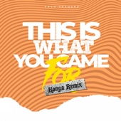 This Is What You Came For (Remix) artwork