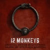 12 Monkeys (Original Series Soundtrack) artwork