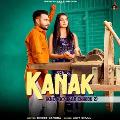 Kanak (feat. Binder Danoda & Raveena Bishnoi) - Single by Amit Dhull album reviews, ratings, credits