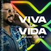 Superação Digital by Xand Avião, Zé Vaqueiro iTunes Track 1