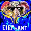 Elephant - Single