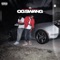 She Love (feat. Tjay Red) - Swang Jones lyrics