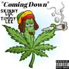 Coming Down (feat. Timmy Lee) - Single album lyrics, reviews, download