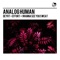 Deyrt - Analog Human lyrics