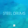 Steel Drums - Caribbean Steel Drum Music, Steelpan and Caribbean Drums Dance Party album lyrics, reviews, download