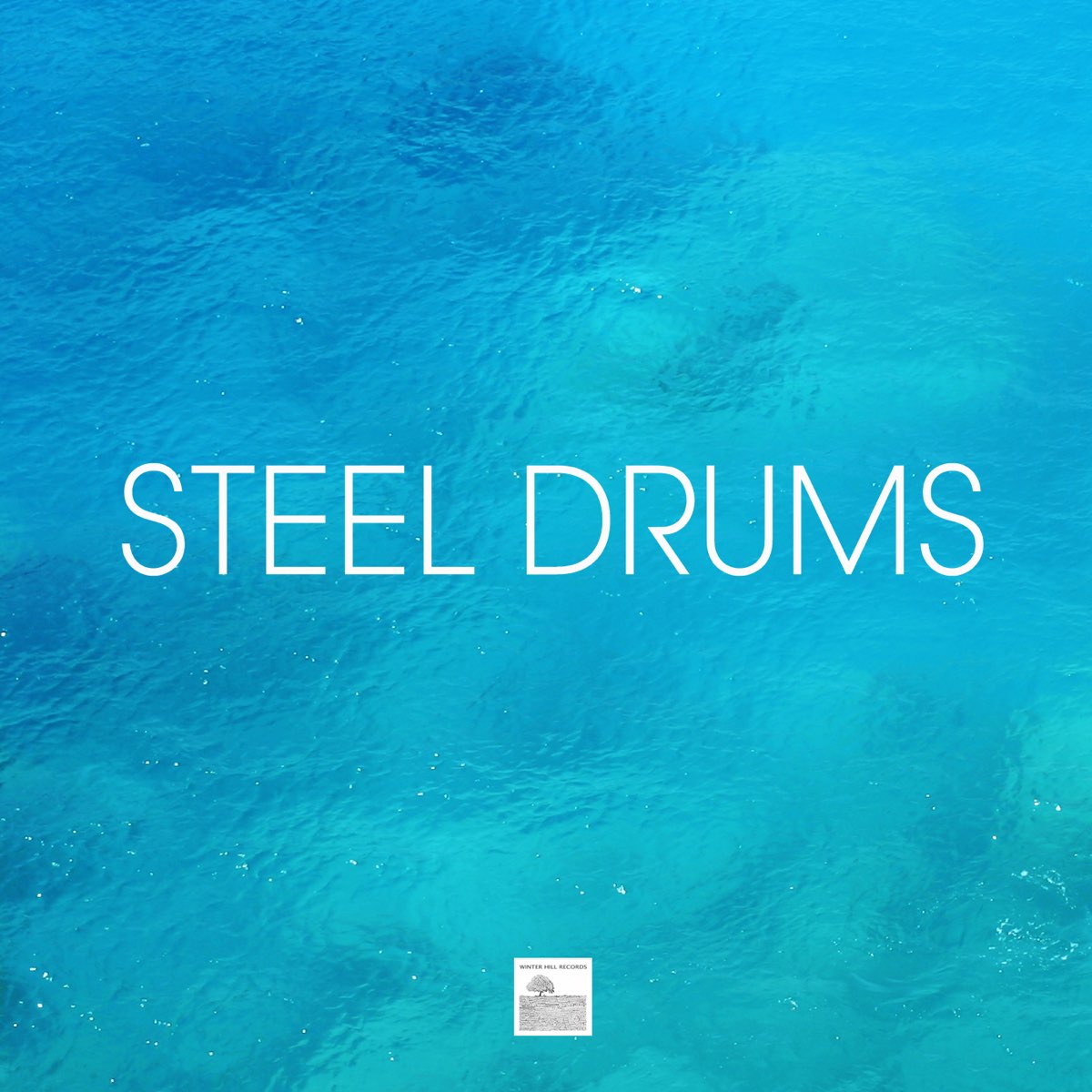 Steel - Caribbean Drum Steelpan and Caribbean Drums Dance Party by Steel Drums Music Crew on Apple Music