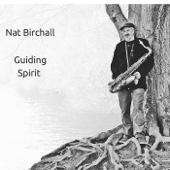Going to the Mountain - Nat Birchall