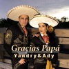 Gracias Papá - Single