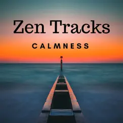 Zen Tracks: Self Realization, Deep Concentration and Calmness, Relaxation and Yoga Music by Djelimady Martins & Spa album reviews, ratings, credits