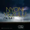 Stream & download Nyoni Yezulu - Single