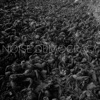 Noise Democracy - EP