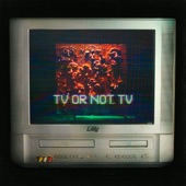 TV or Not TV artwork