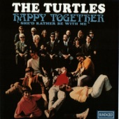 The Turtles - She's My Girl