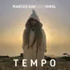 Tempo - Single album lyrics, reviews, download