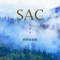 SAC - 动感暴龙兽, 白鸡 & 云江怪兽 lyrics
