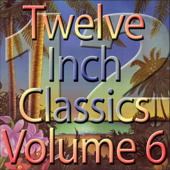 Twelve Inch Disco Classics from the 70s, Vol. 6 - Various Artists