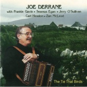 Joe Derrane - The Visitors, Paddy Fahy's, Geese In the Bog