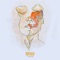 Tara - Buffalo lyrics