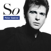 Peter Gabriel - This Is the Picture (Excellent Birds)